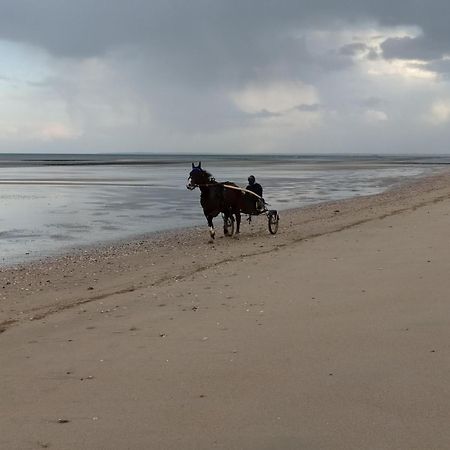 Gites "Plage" Ou "Pieds Dans L'Eau" En Front De Mer A Asnelles , 3Km D'Arromanches, 10Km De Bayeux Esterno foto