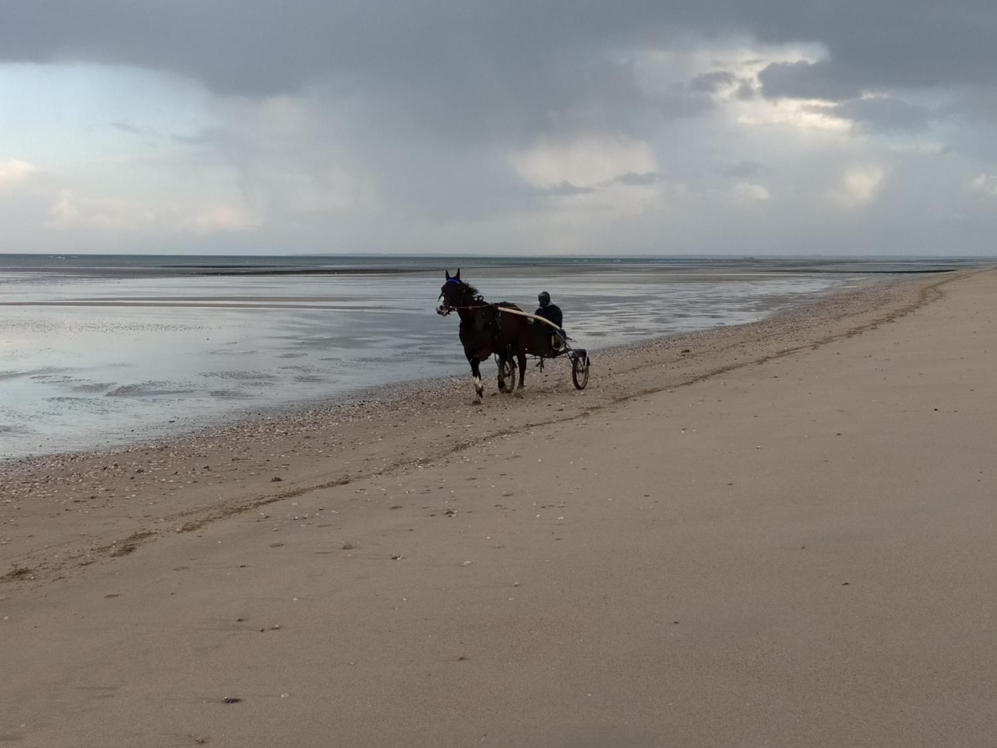 Gites "Plage" Ou "Pieds Dans L'Eau" En Front De Mer A Asnelles , 3Km D'Arromanches, 10Km De Bayeux Esterno foto